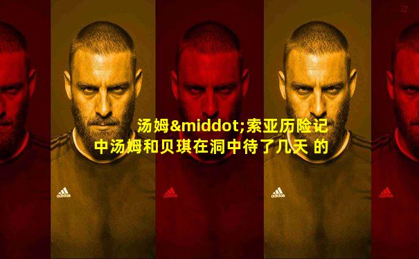 汤姆·索亚历险记中汤姆和贝琪在洞中待了几天 的英文